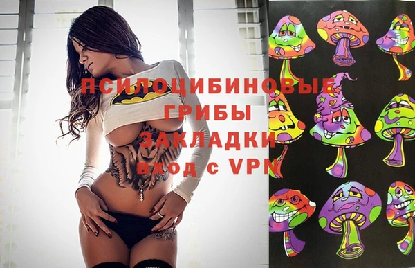 гидра Алзамай